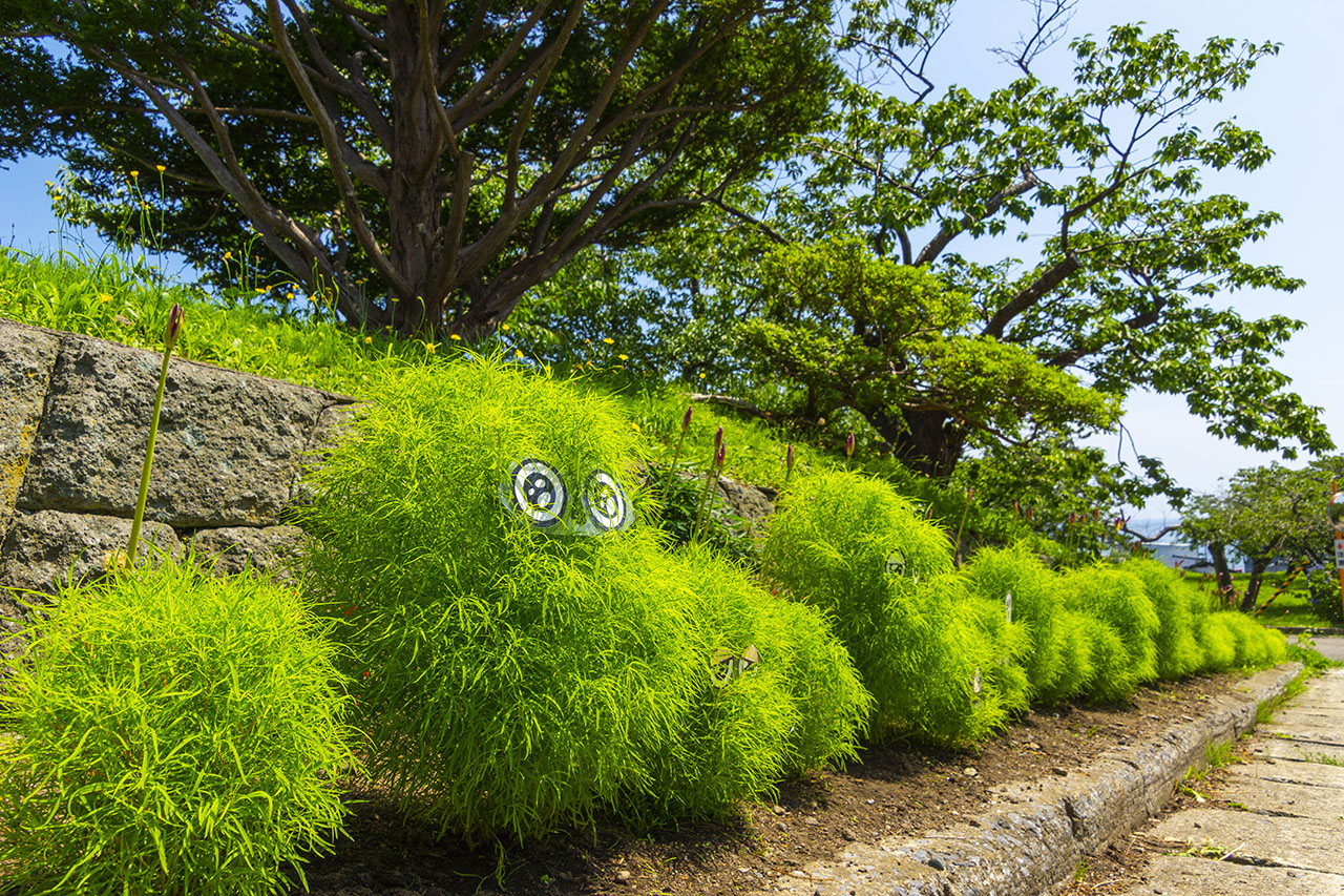 沖の口坂 (2019)