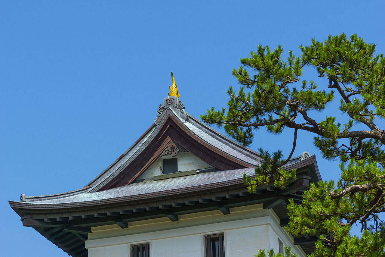天守金鯱 (2019)
