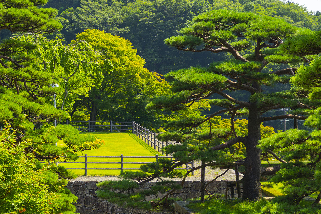 三の丸下段 (2019)