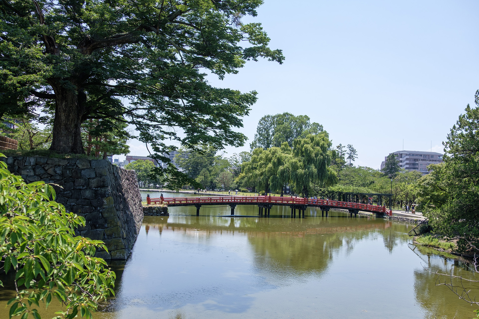 埋橋と堀 (2025)