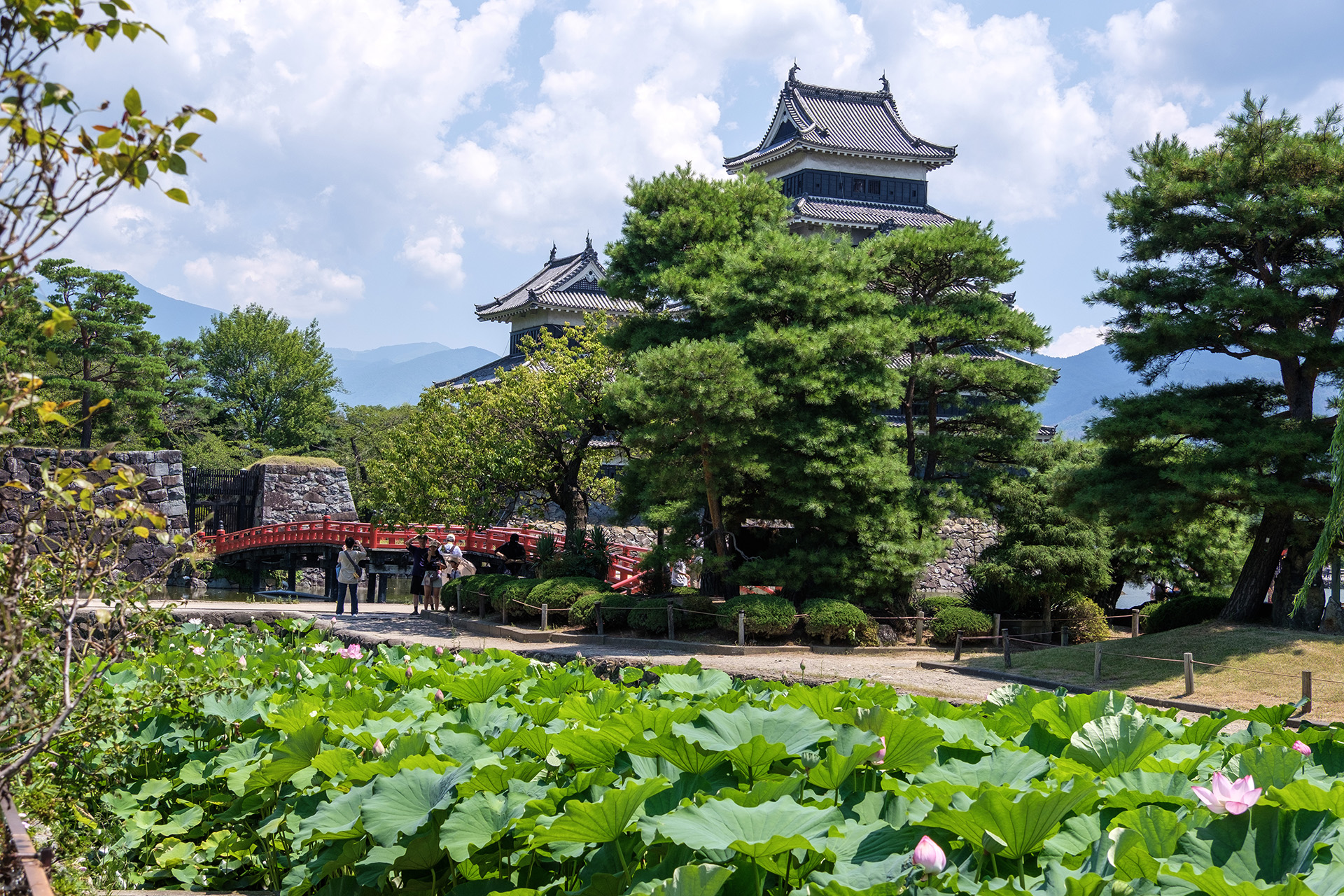 蓮池，埋橋 ，天守(2025)