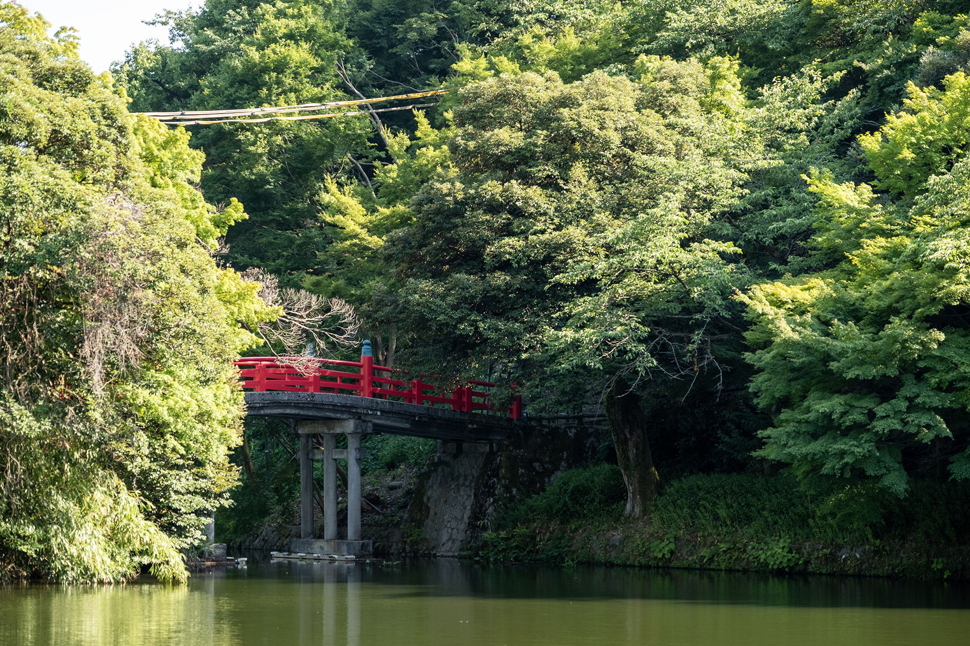 中之島眺望朝陽橋 (2025) 