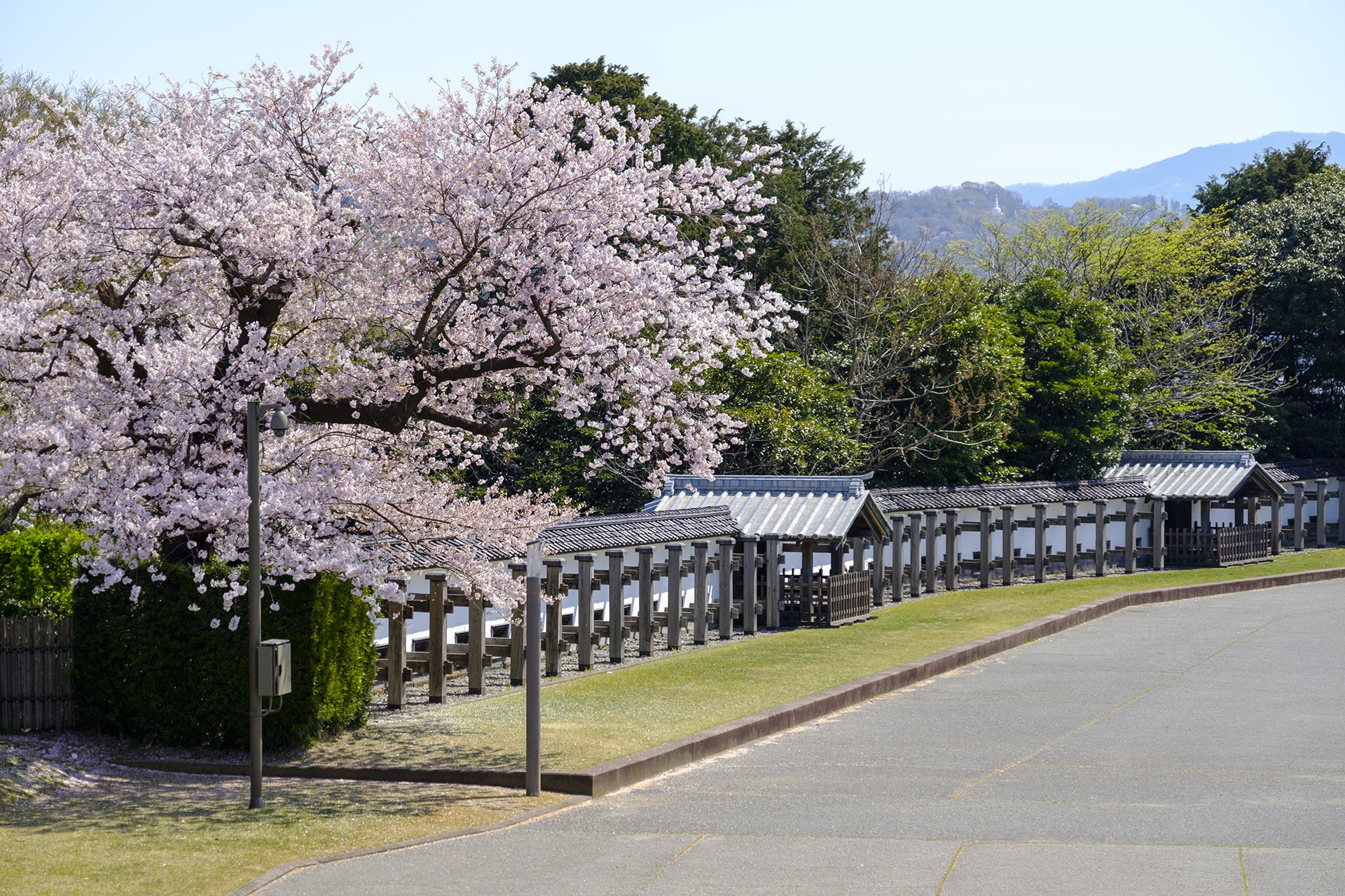 三の丸北園地 (2023)