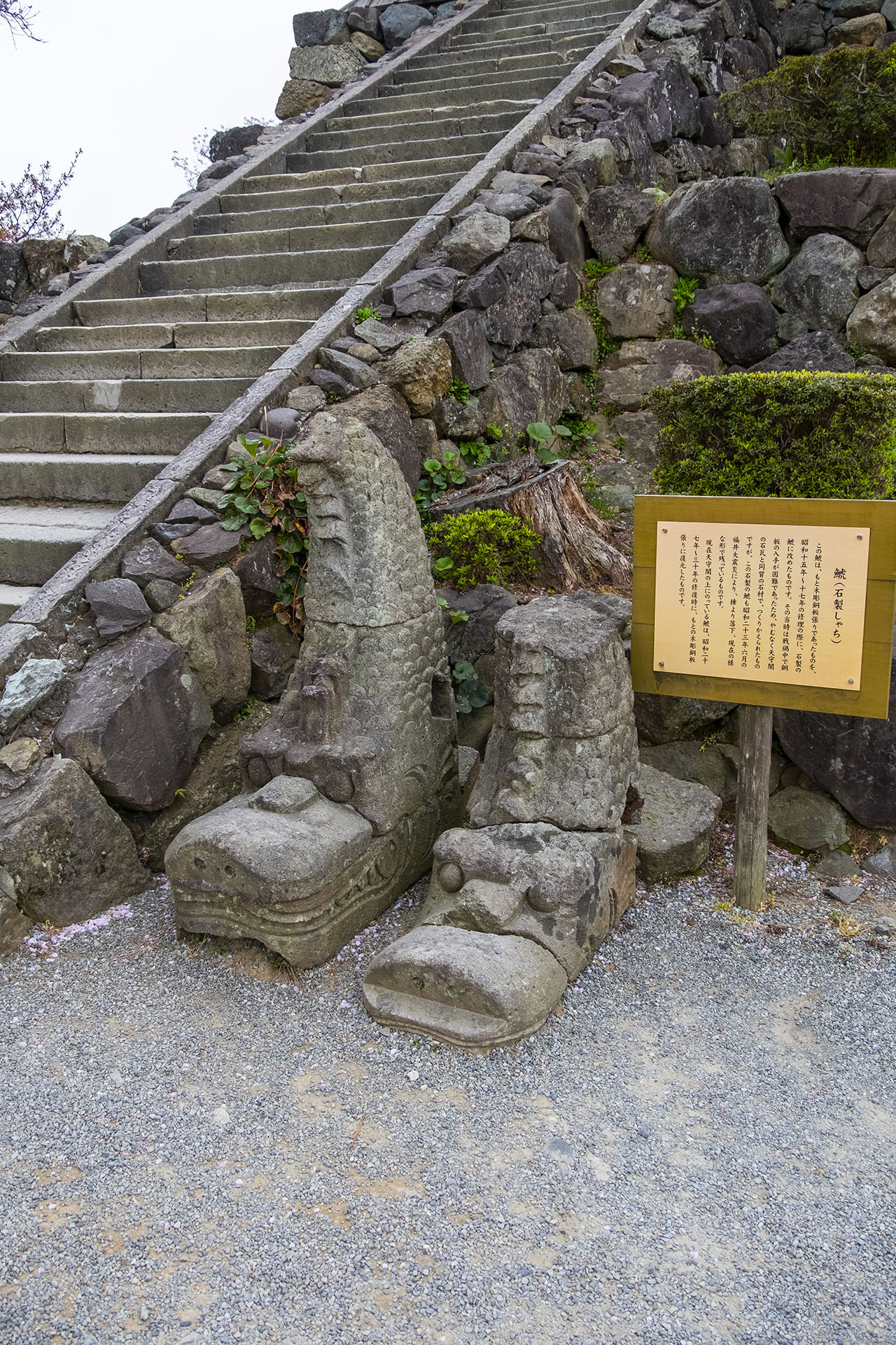 福井地震で落下した笏谷石の鯱 (2023)