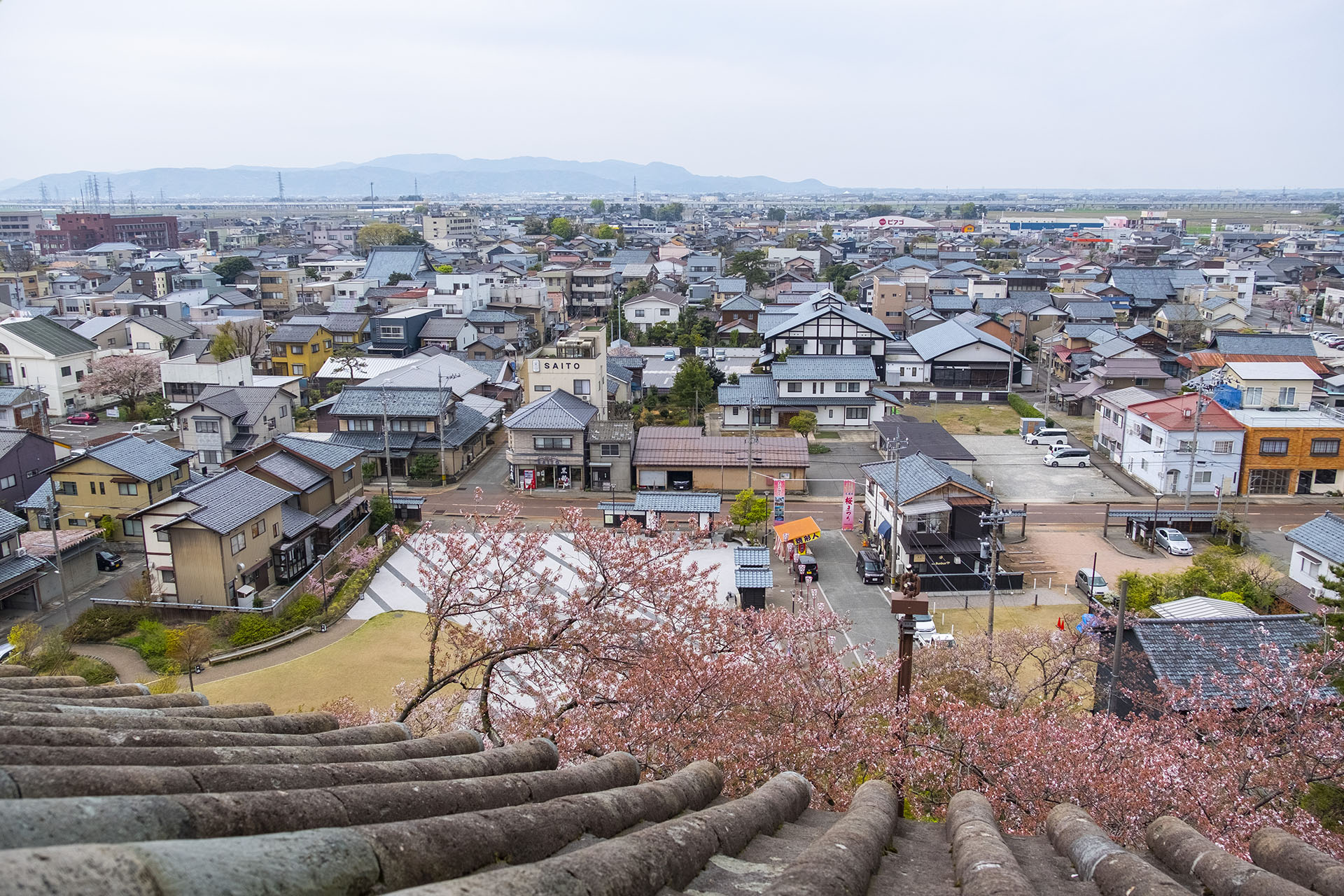 天守から笏谷石の瓦を見る (2023)