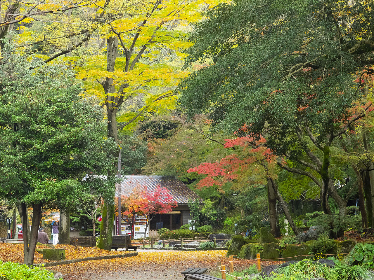 岐阜公園 (2015)