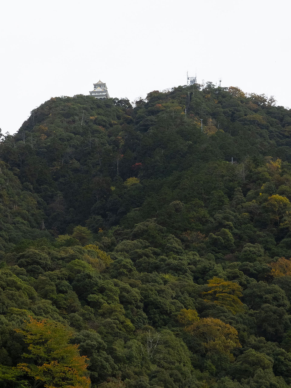 金華山，天守 (2015)