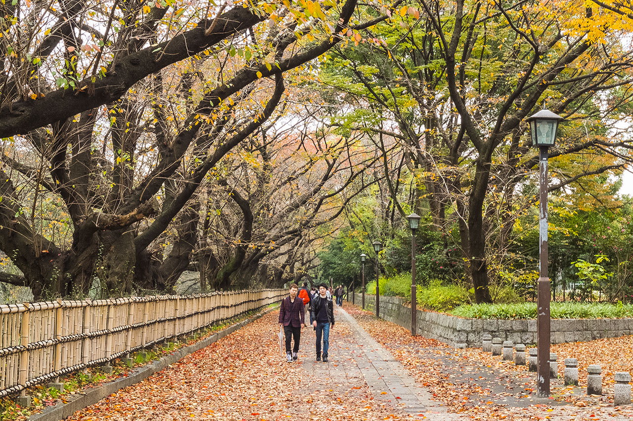 名城公園 (2015)