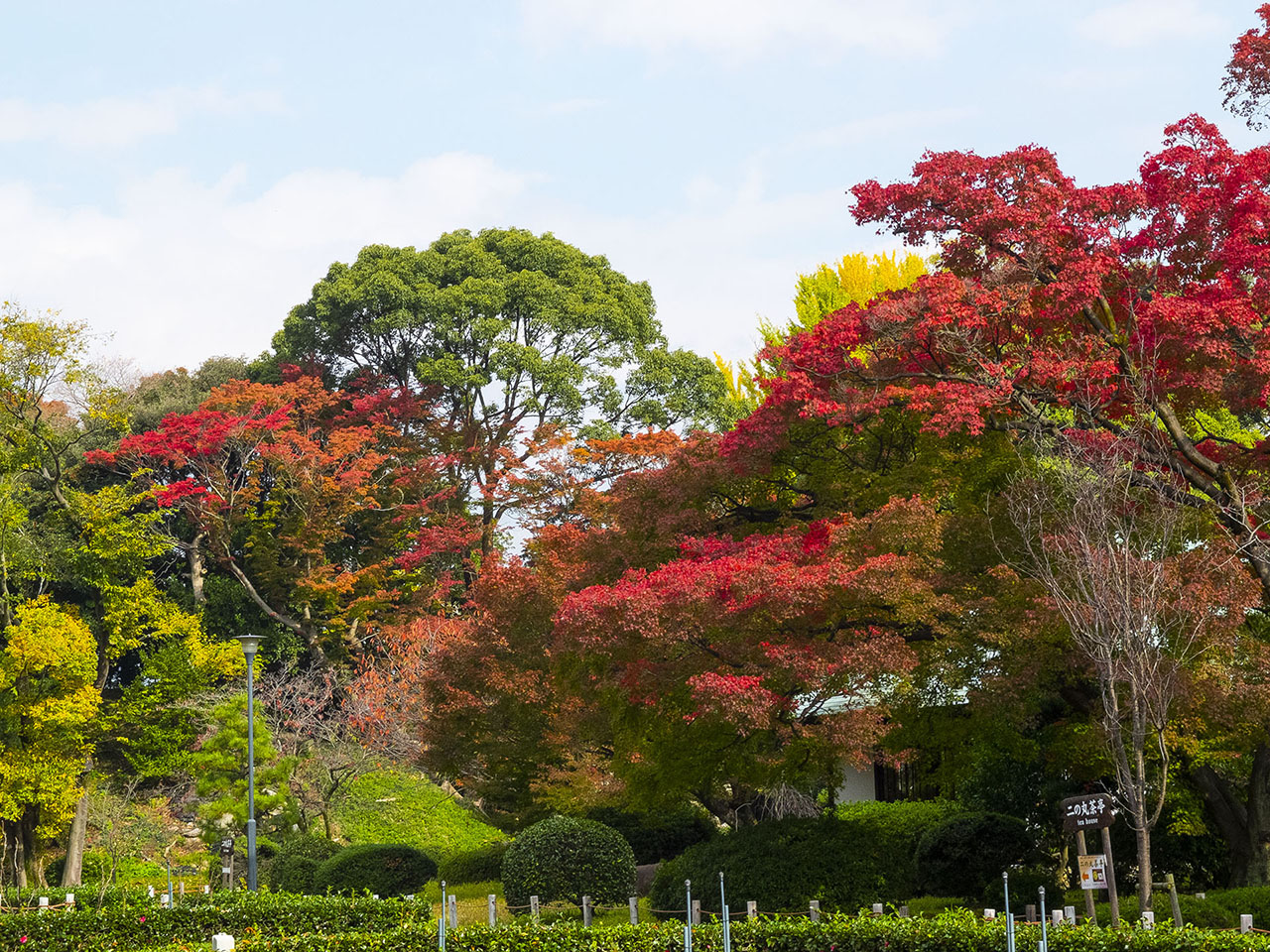 二丿丸庭園 (2015)