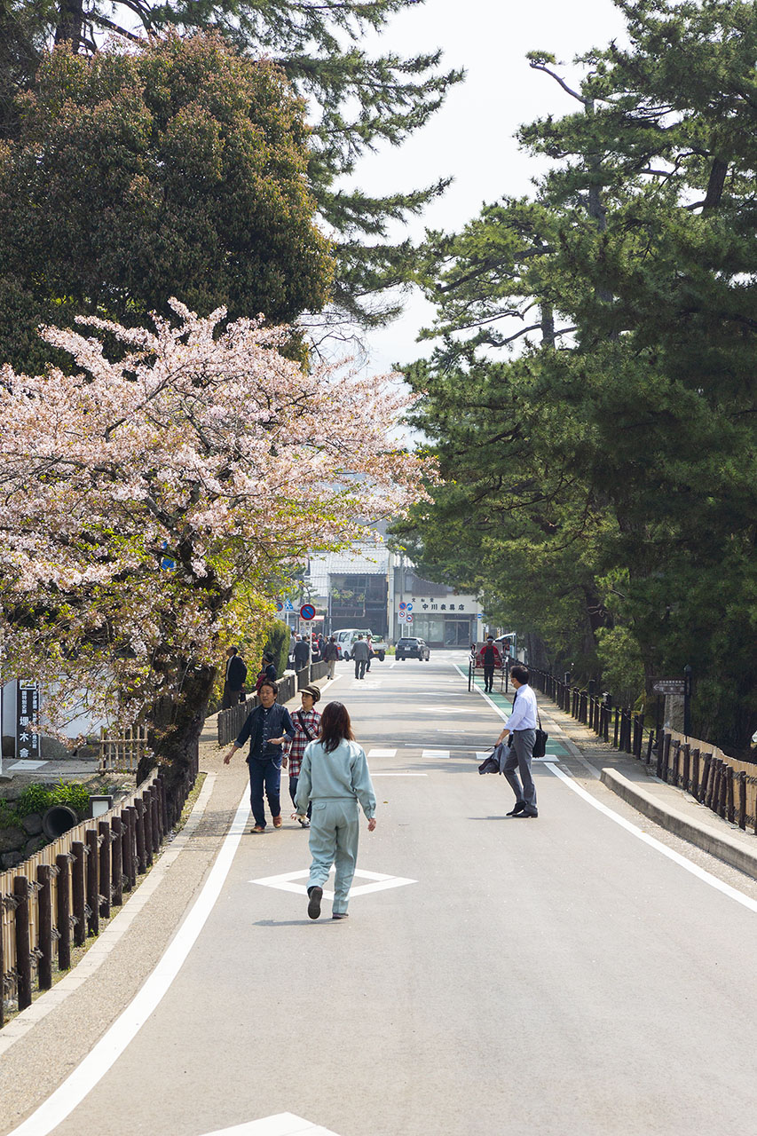 佐和口 (2014)