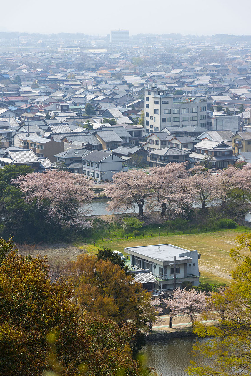 天守から彥根市 (2014)