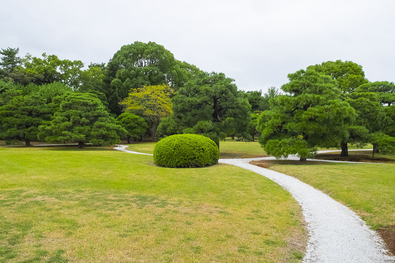 二の丸庭園 (2019)