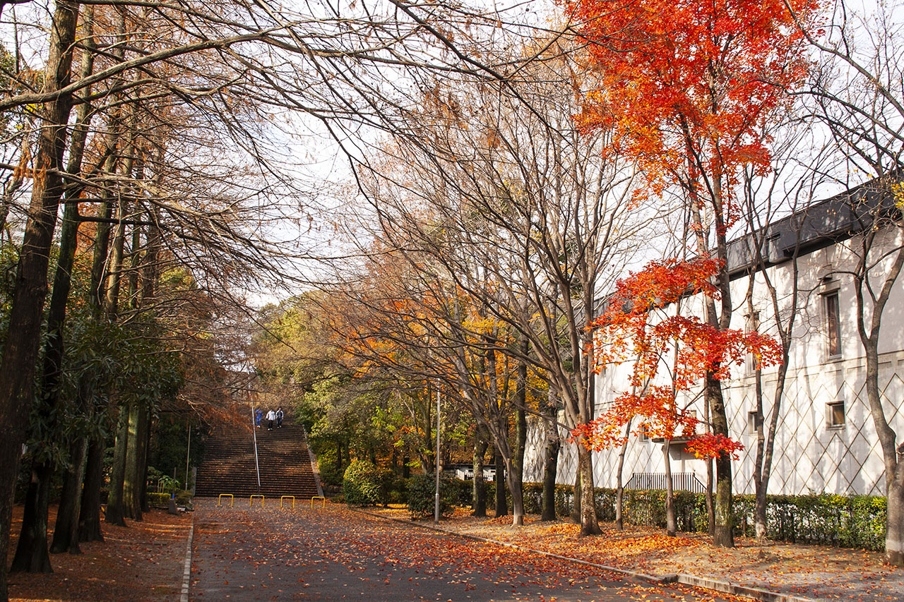 大阪城公園 (2006)
