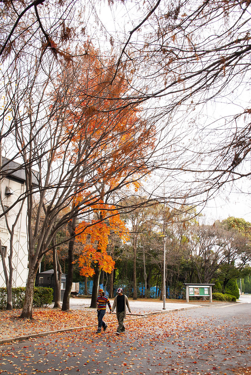 大阪城公園 (2006)