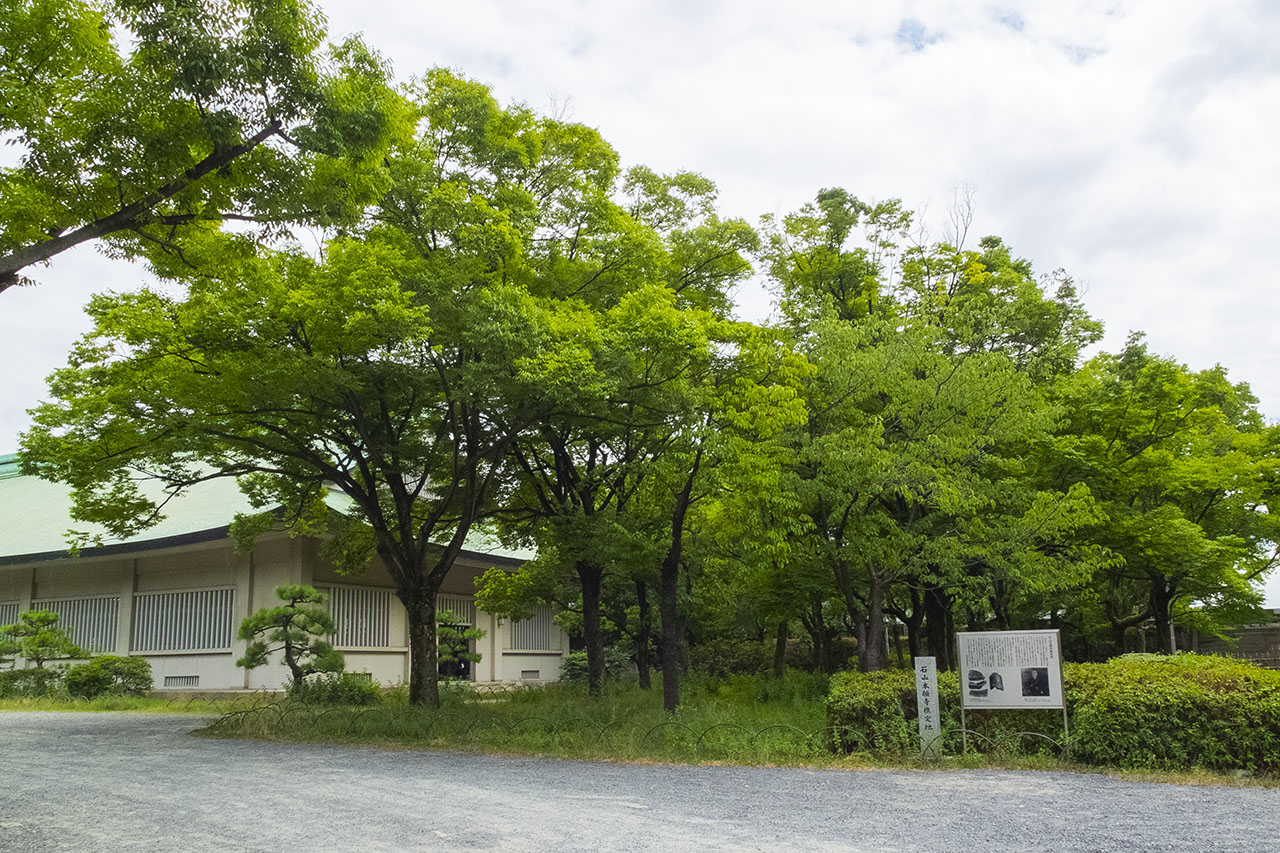 石山本願寺推定地 (2018)