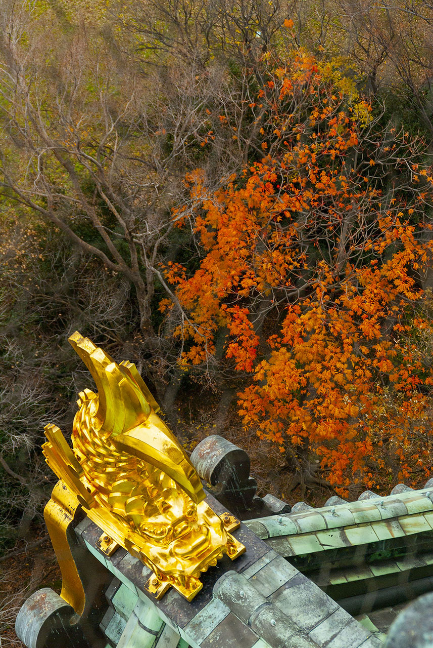 天守金鯱 (2006)