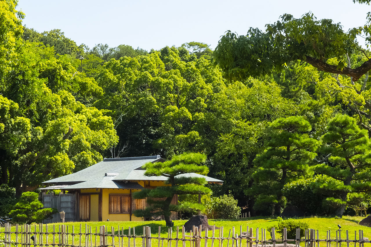 宮本武蔵の庭（本松寺） (2018)