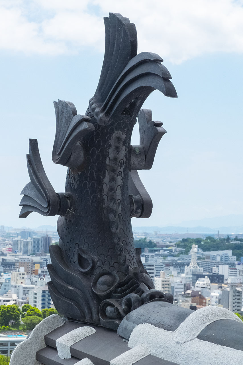 鯱鉾 (2018)