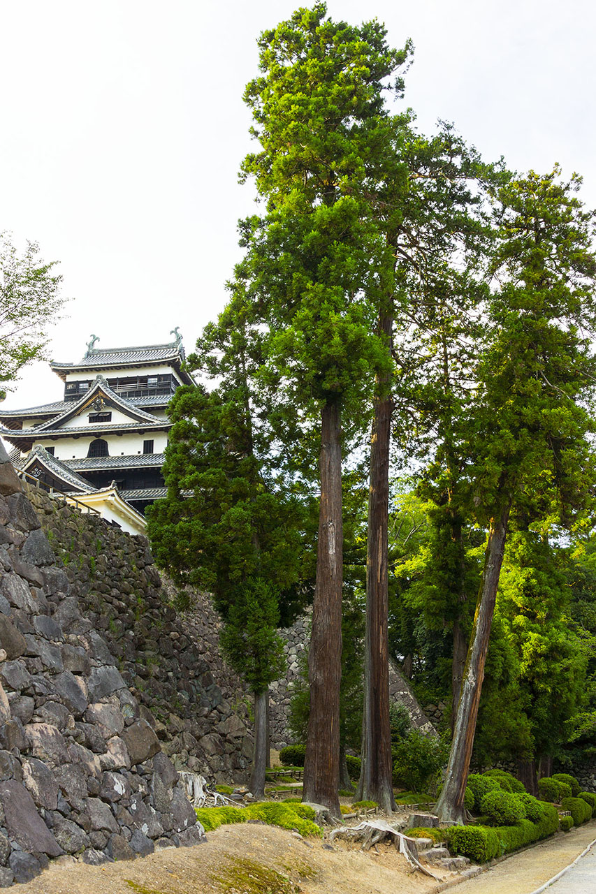 二の丸上の段 (2016)