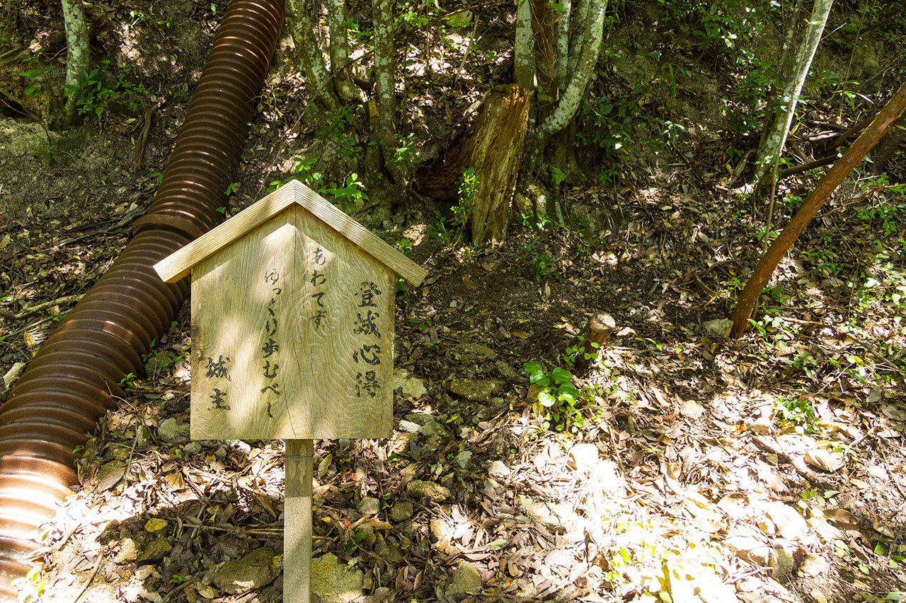 城主の登城心得 (2016)
