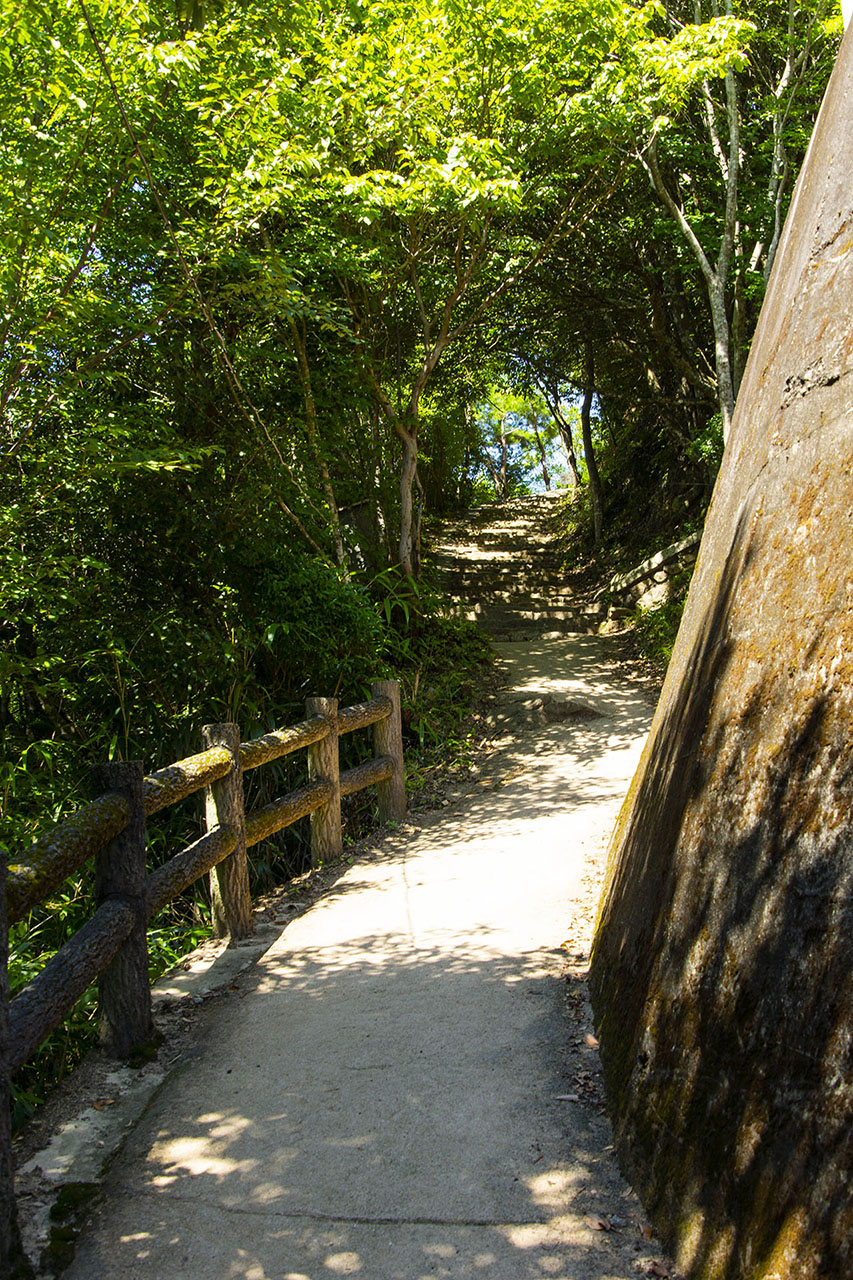 登城山道 (2016)