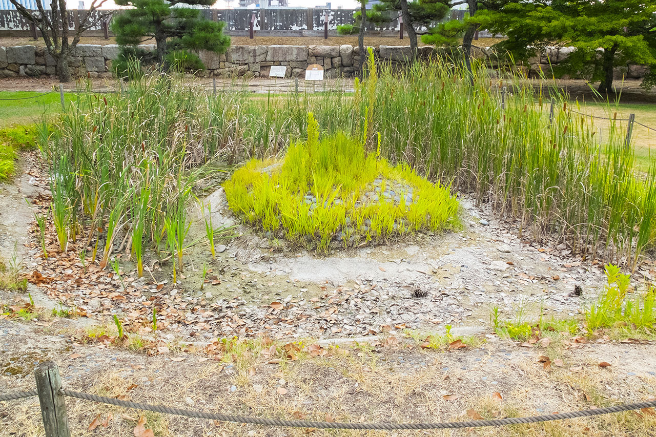 泉水 (2018)