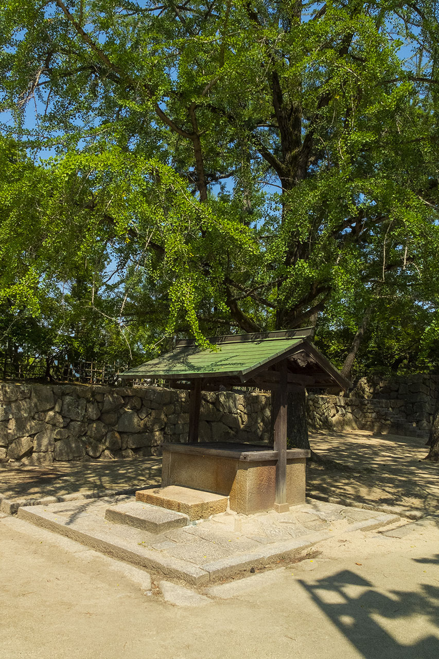 黃金水 (2018)