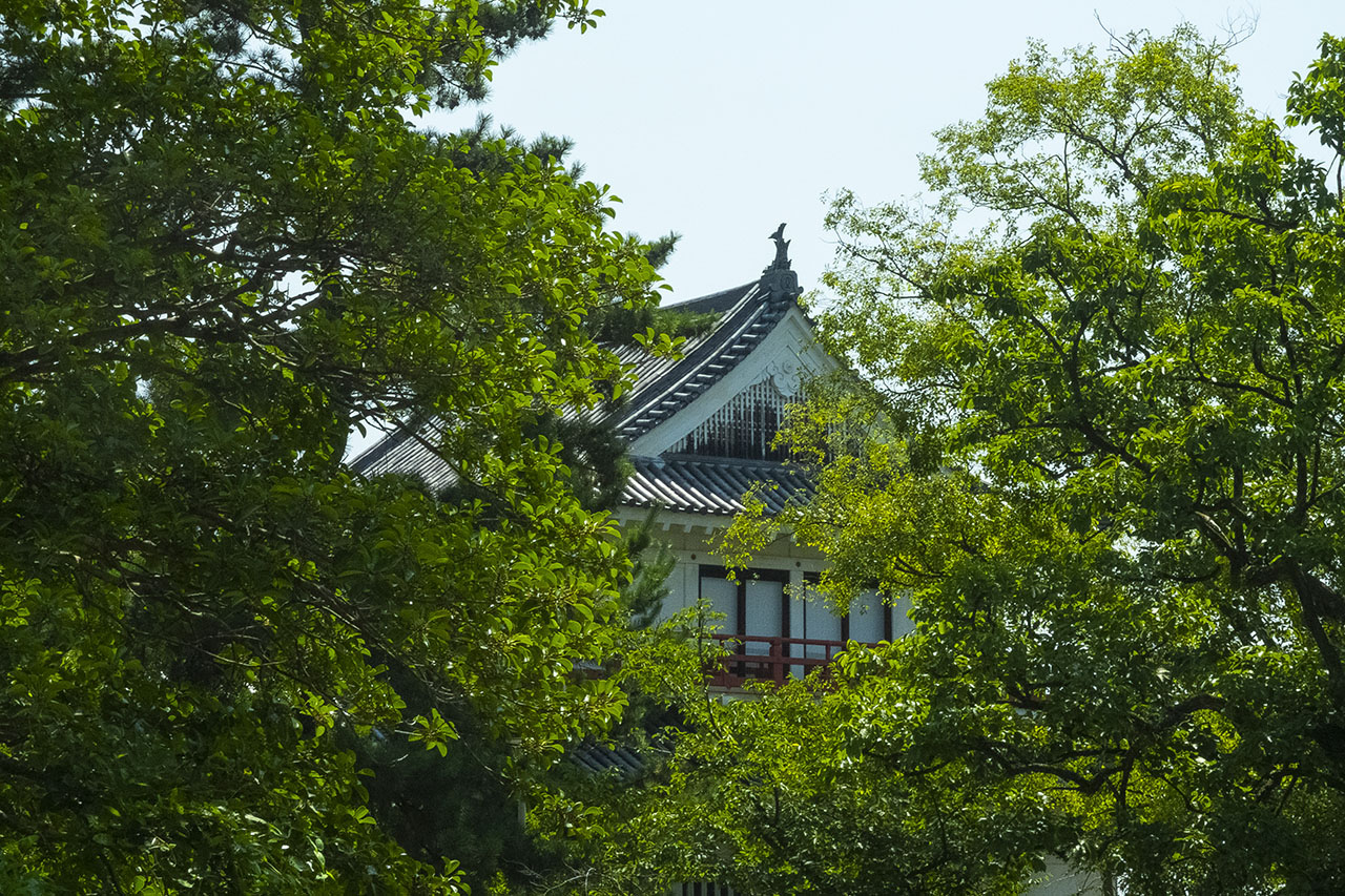 月見櫓 (2018)