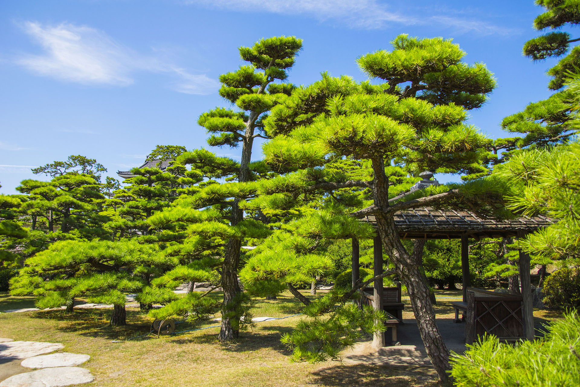 披雲閣庭園 (2016)