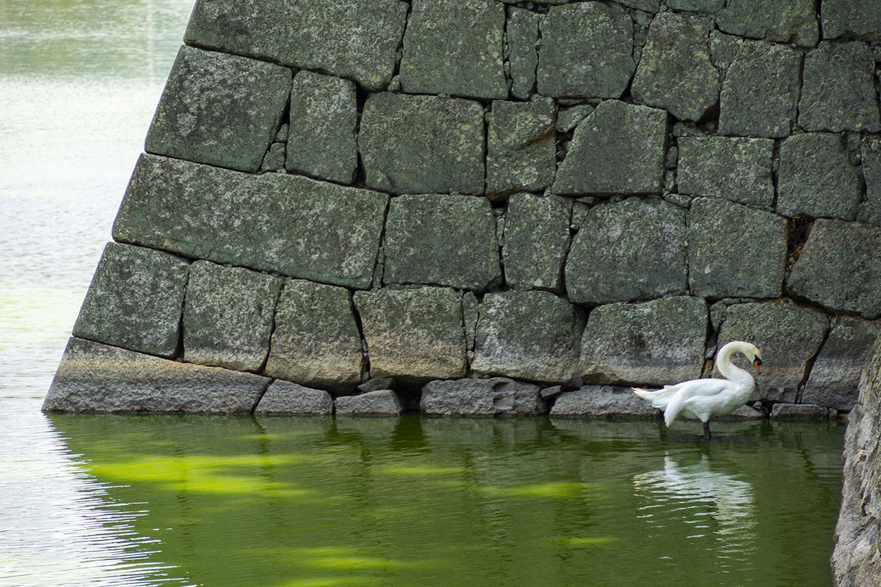 水堀 (2016)