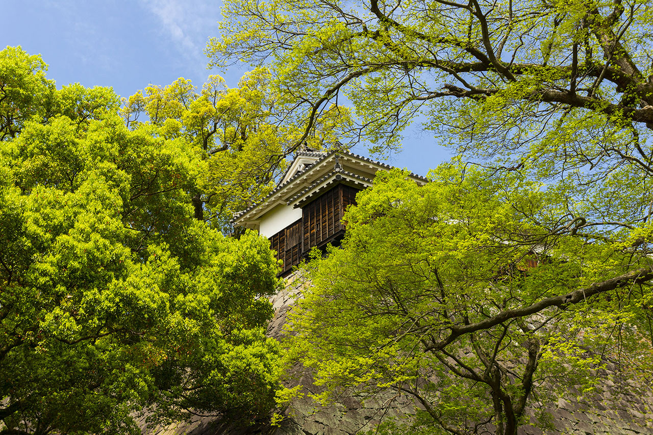 平櫓群 (2015)