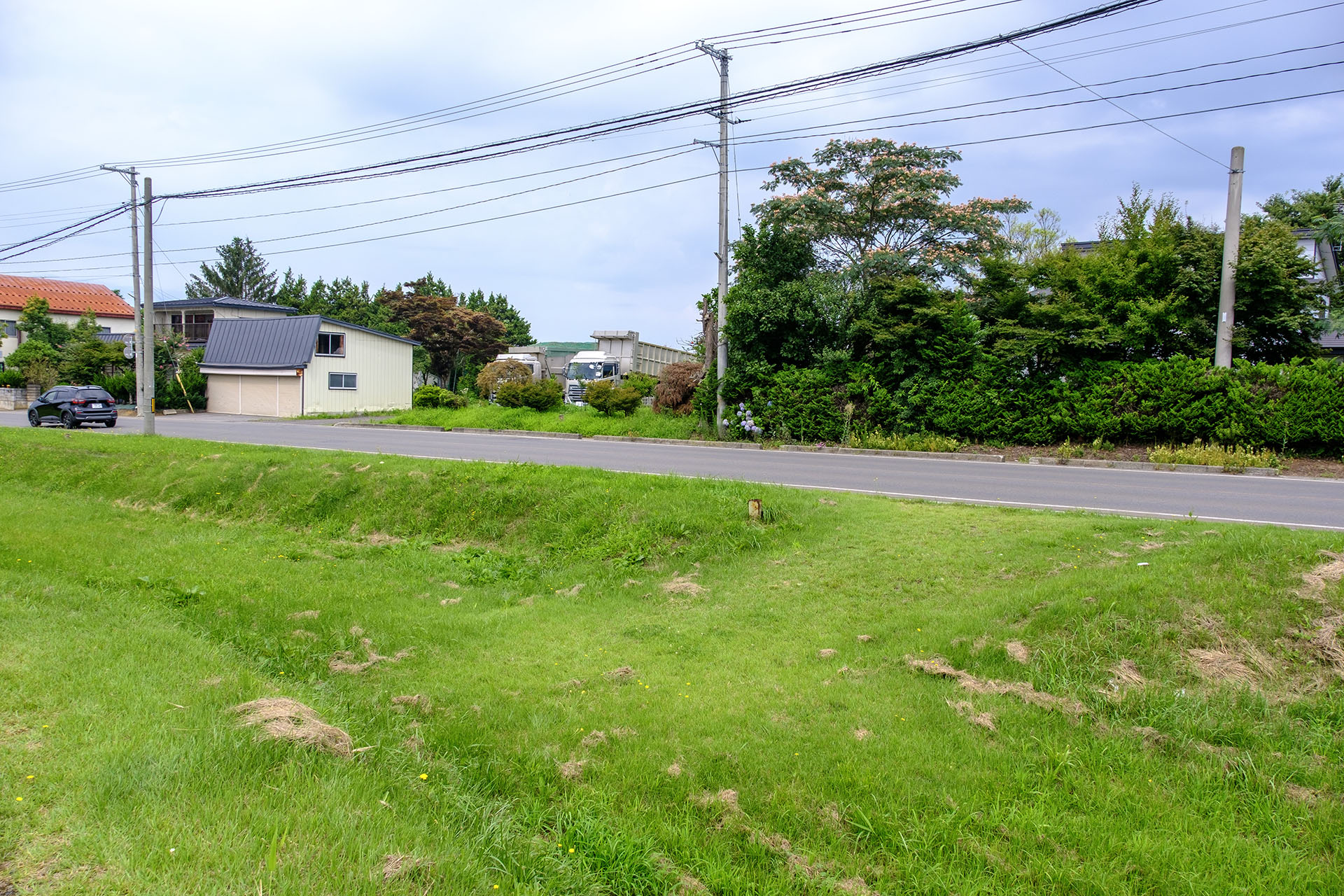 堀跡 (2024)