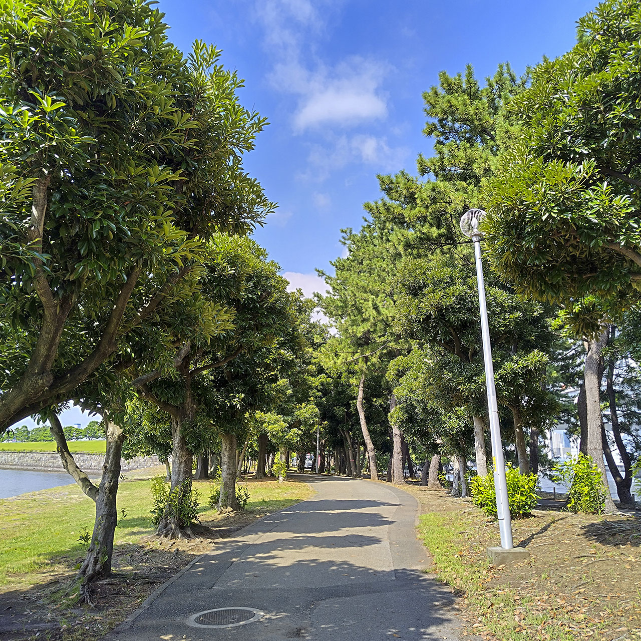 台場公園 (2024)