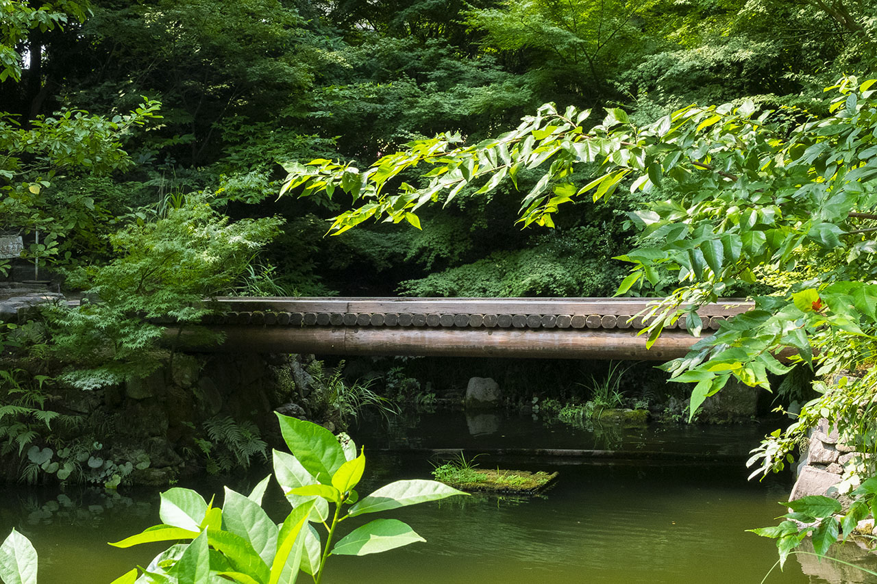 小倉城庭院 (2018)