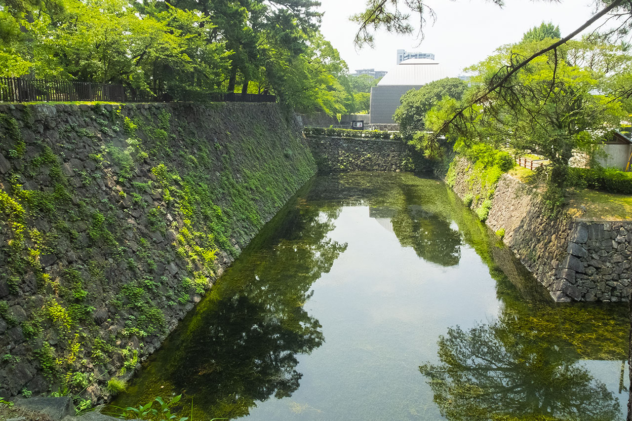 水堀 (2018)