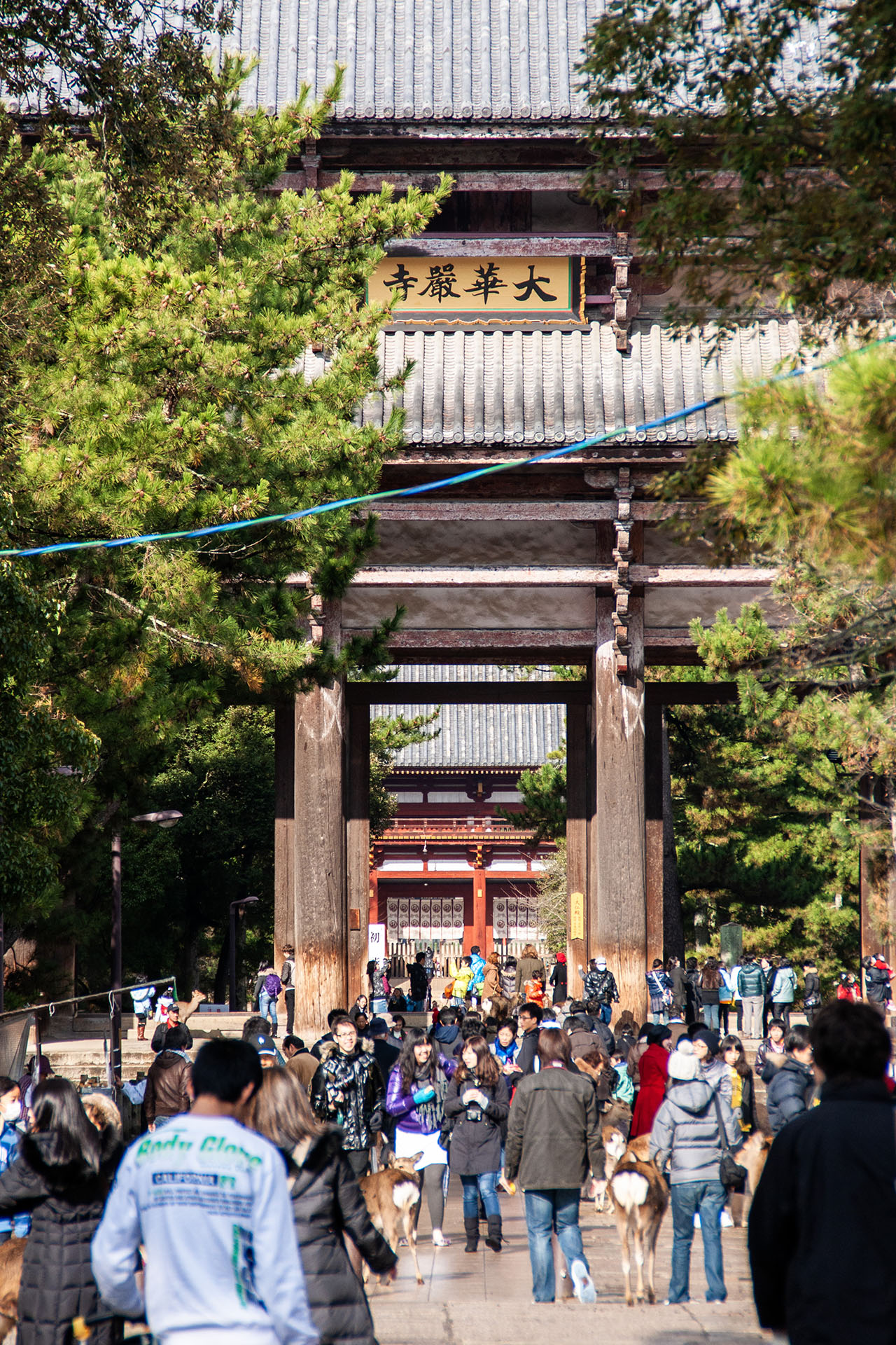 奈良公園 東大寺 (2009)