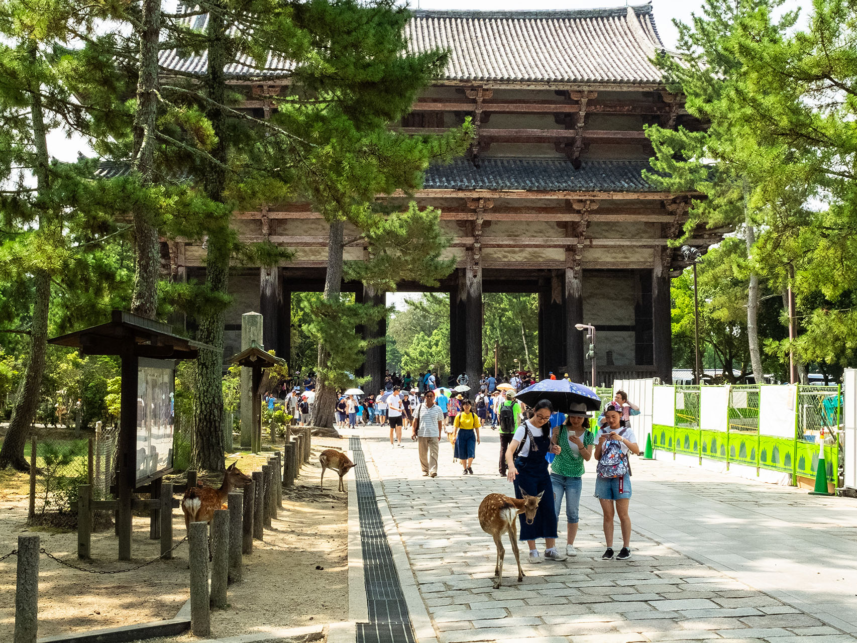 東大寺 南大門 (2018)