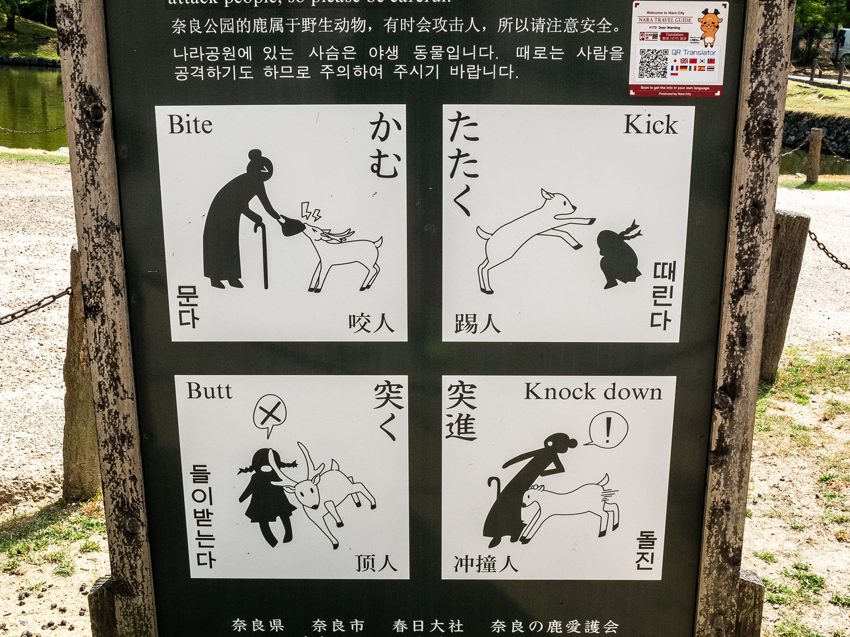 東大寺 (2018)