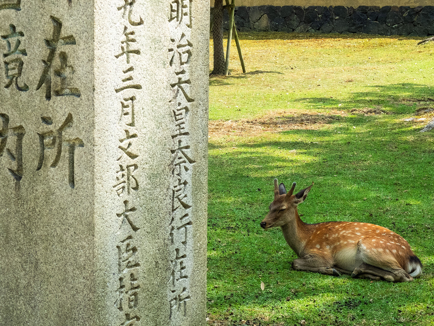 東大寺 (2018)