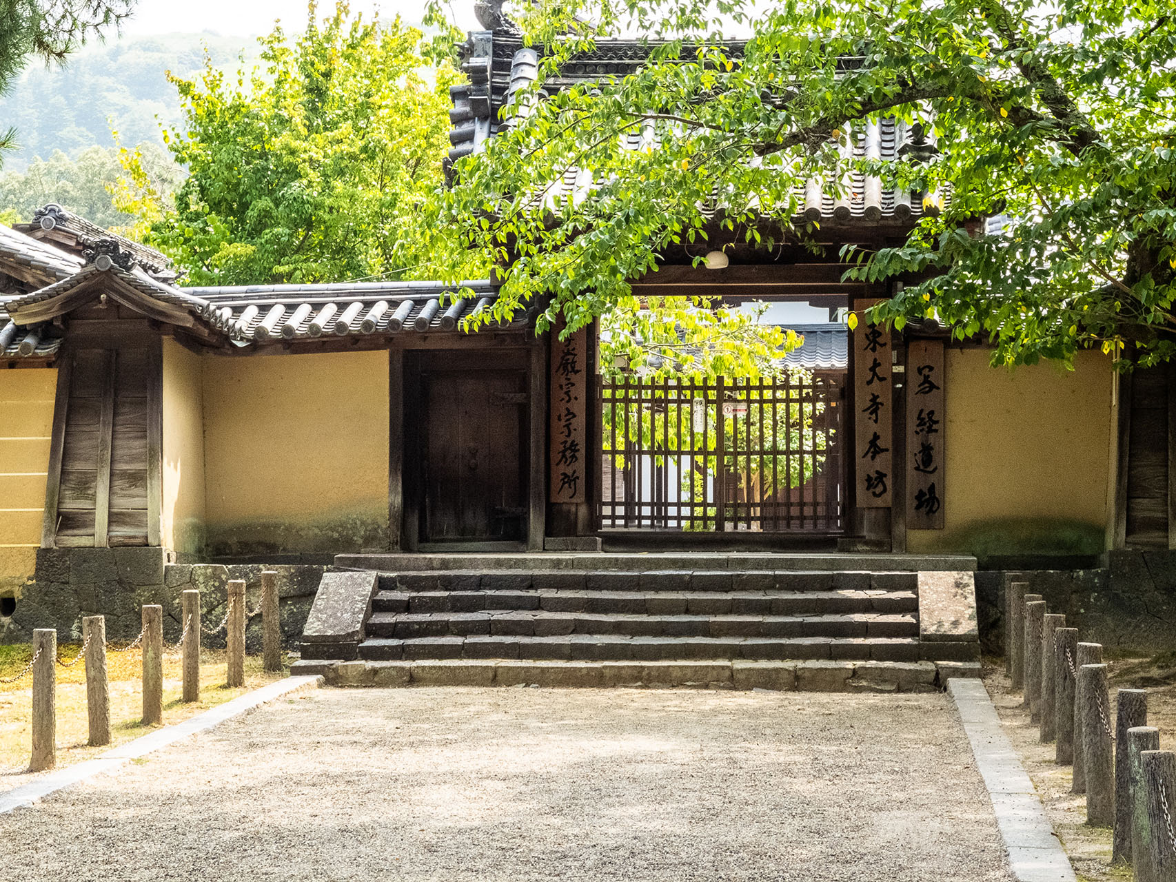 東大寺 (2018)