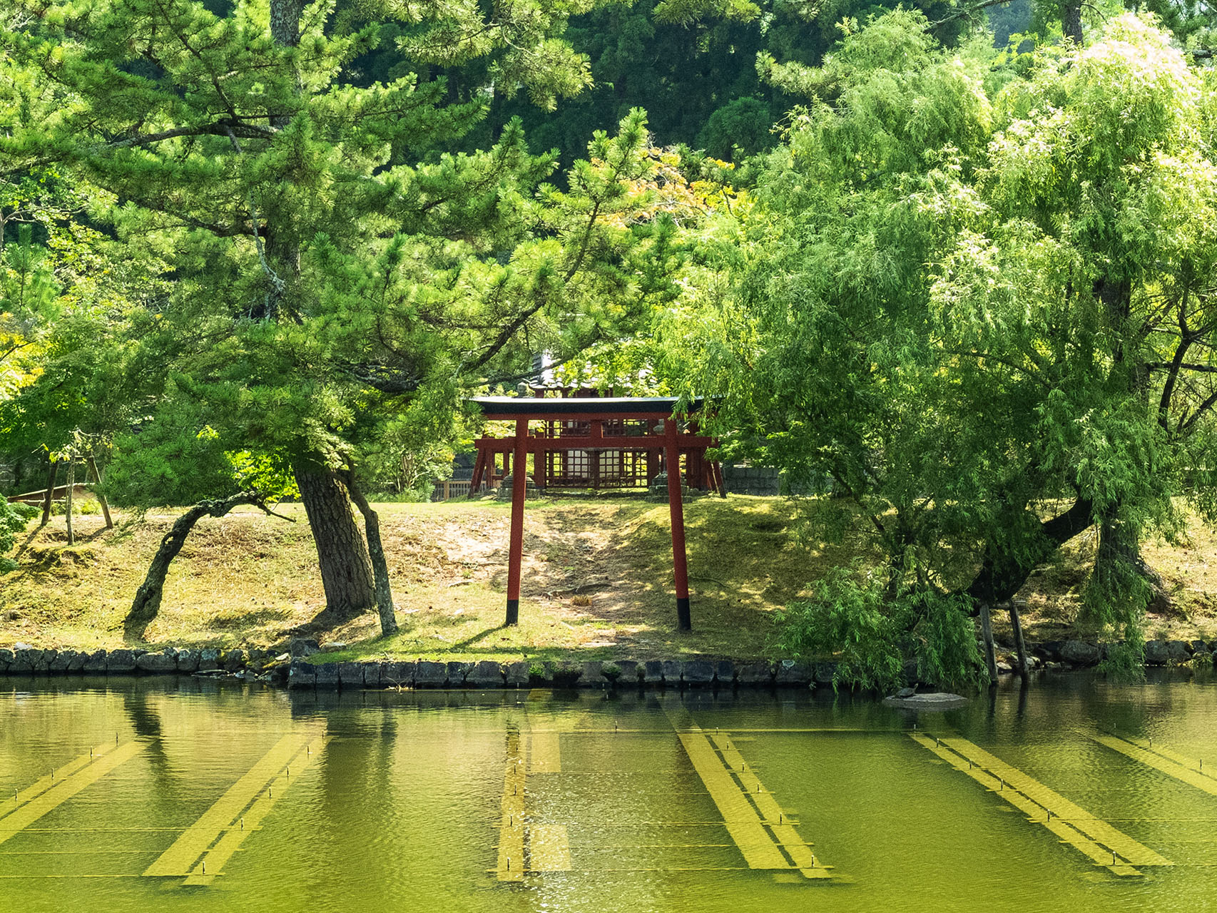 東大寺 (2018)