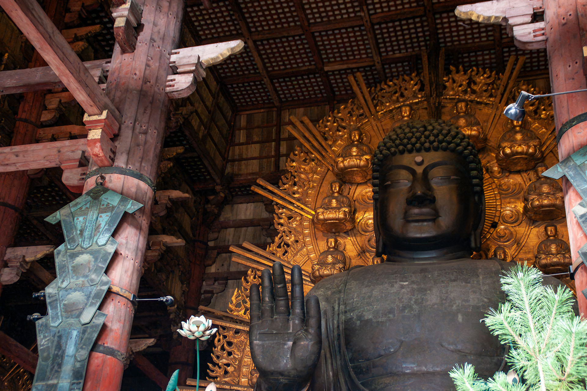 東大寺 大佛殿 (2009)