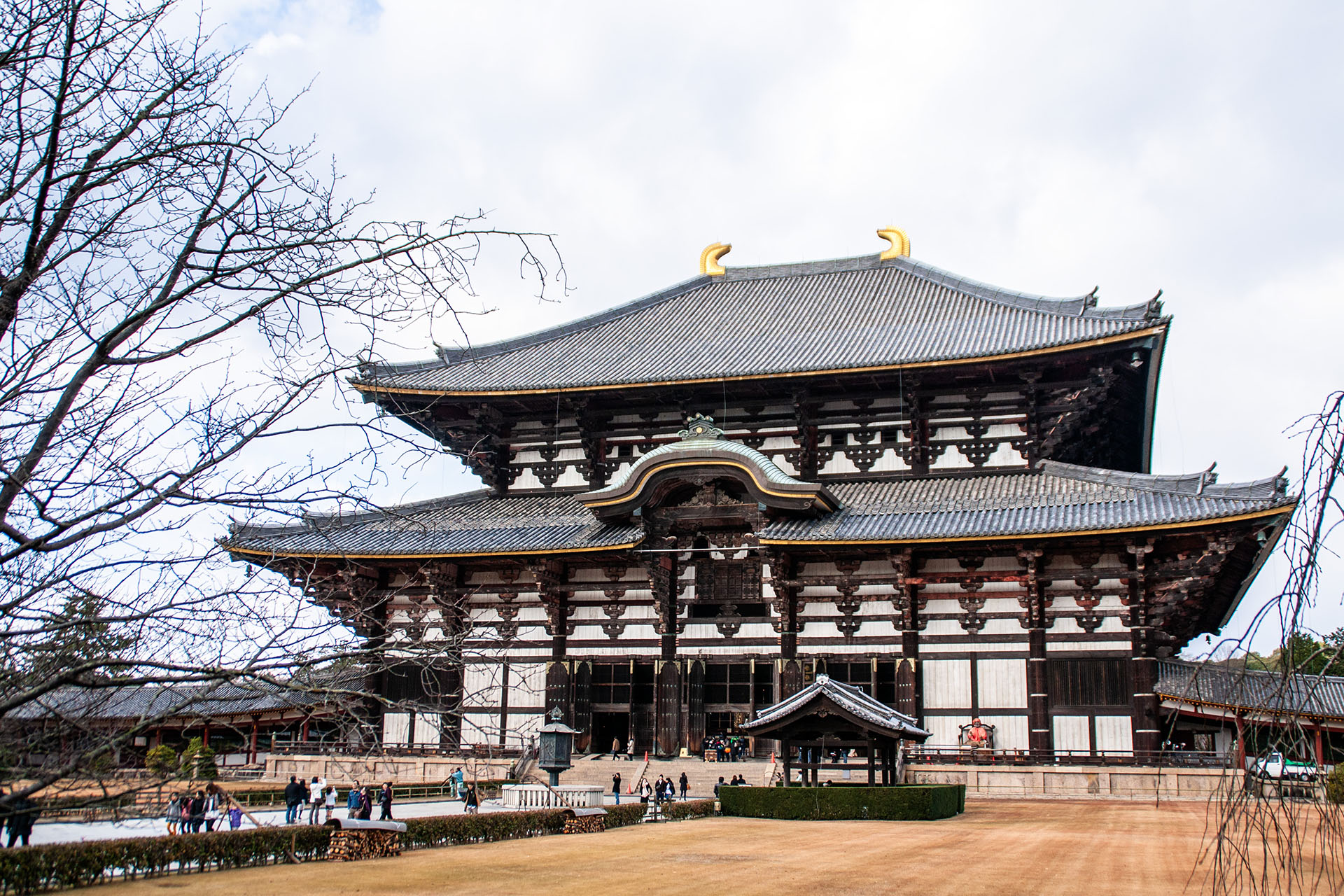 東大寺 大佛殿 (2009)