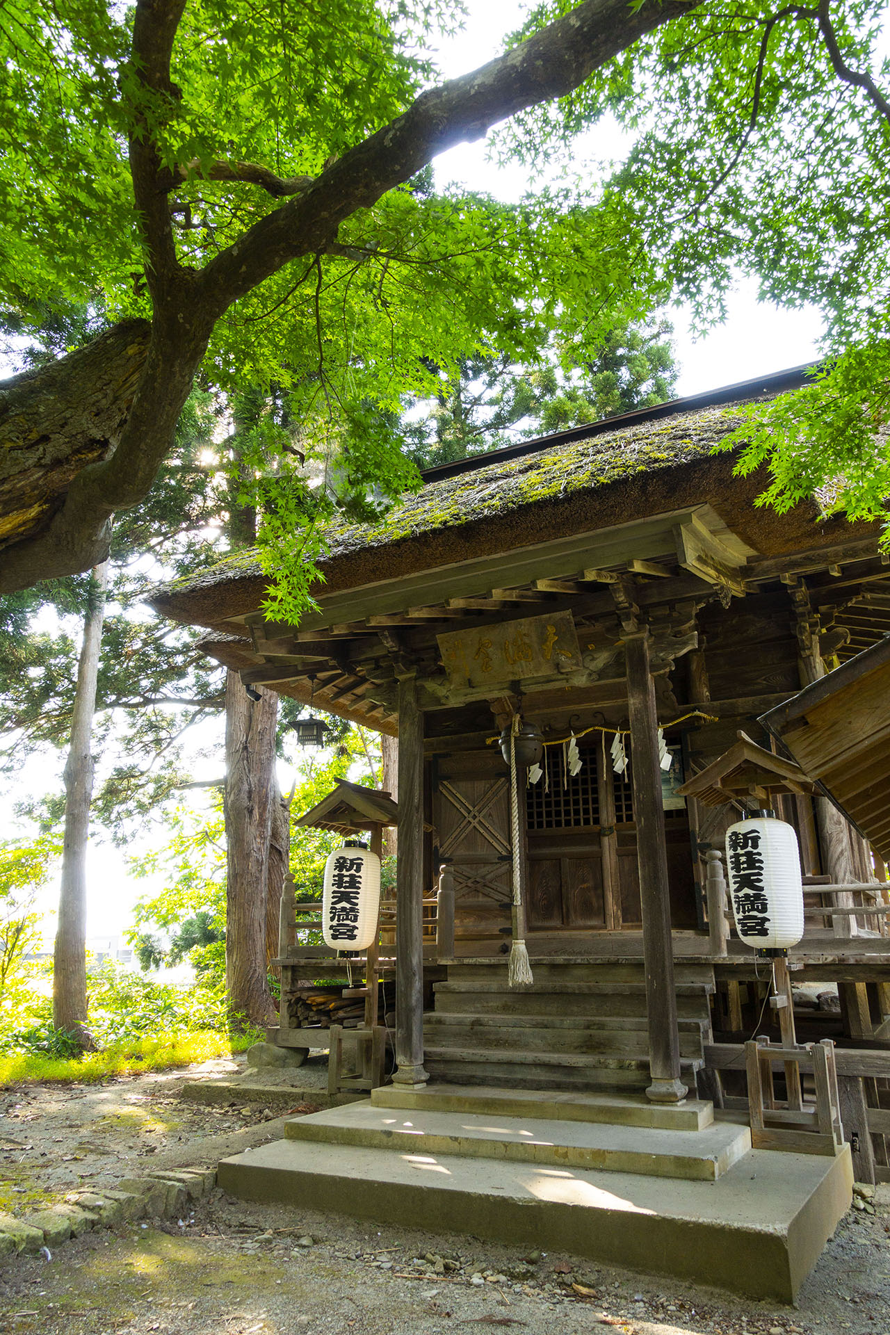新庄城跡 (天滿宮) - 2019