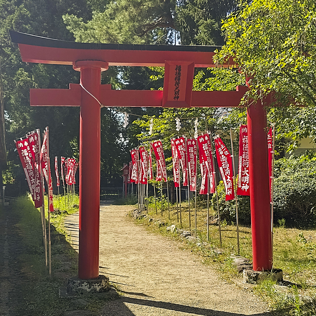 米澤城跡 (松岬公園) - 2023
