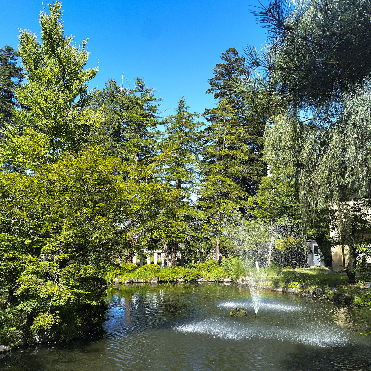 米澤城跡 (松岬公園) - 2023