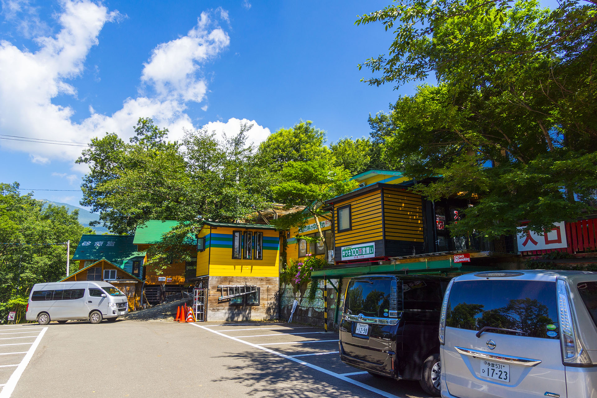 白石藏王 狐狸村 - 2019