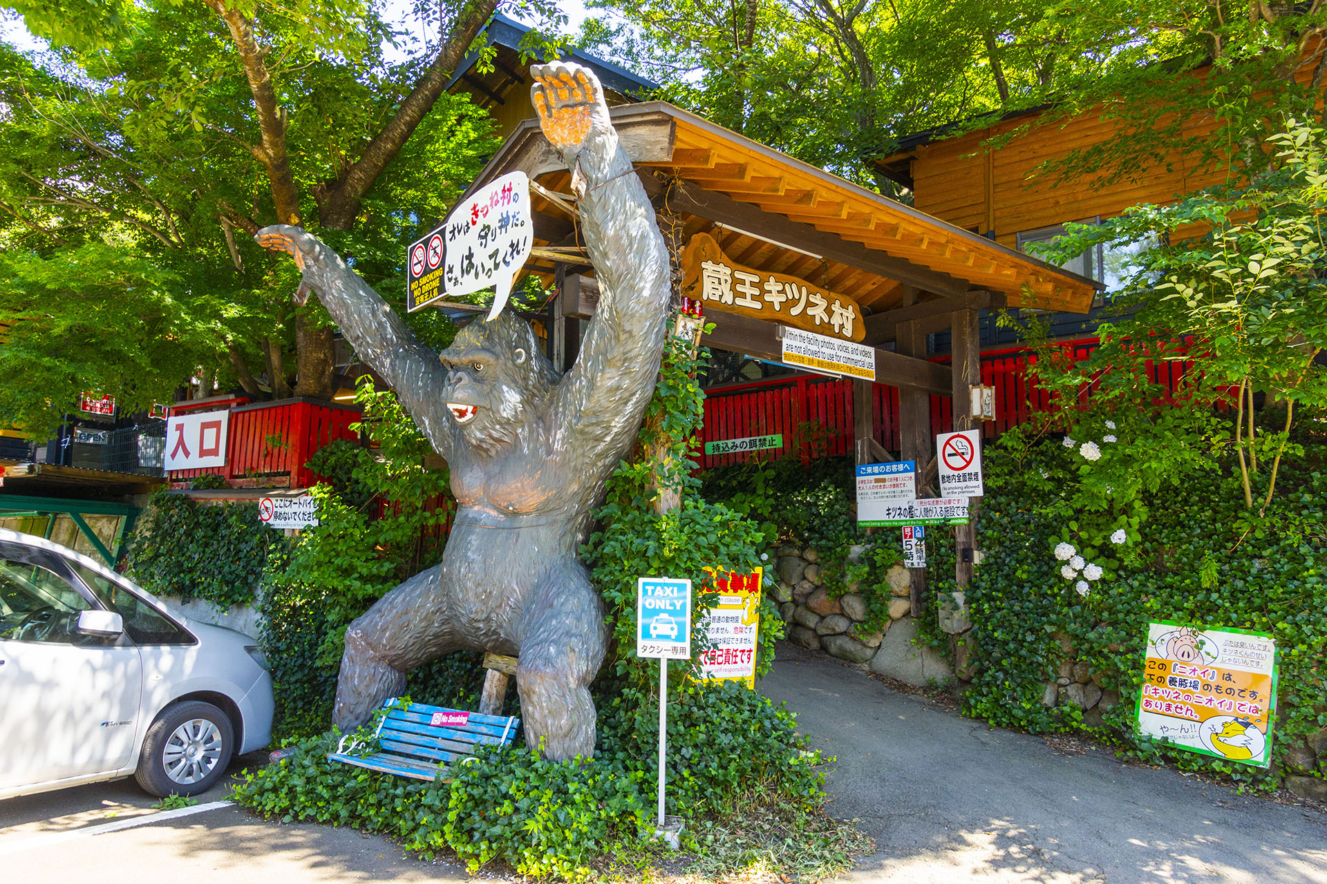 白石藏王 狐狸村 - 2019