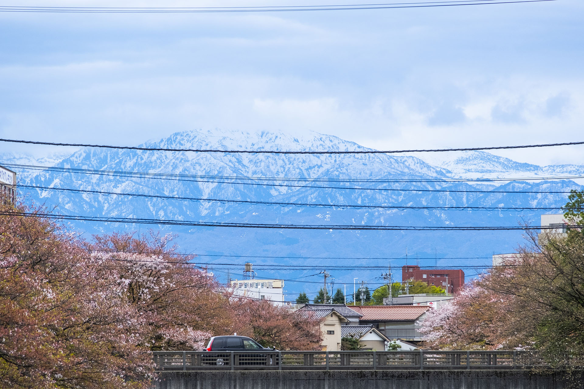 富山市 (2023)