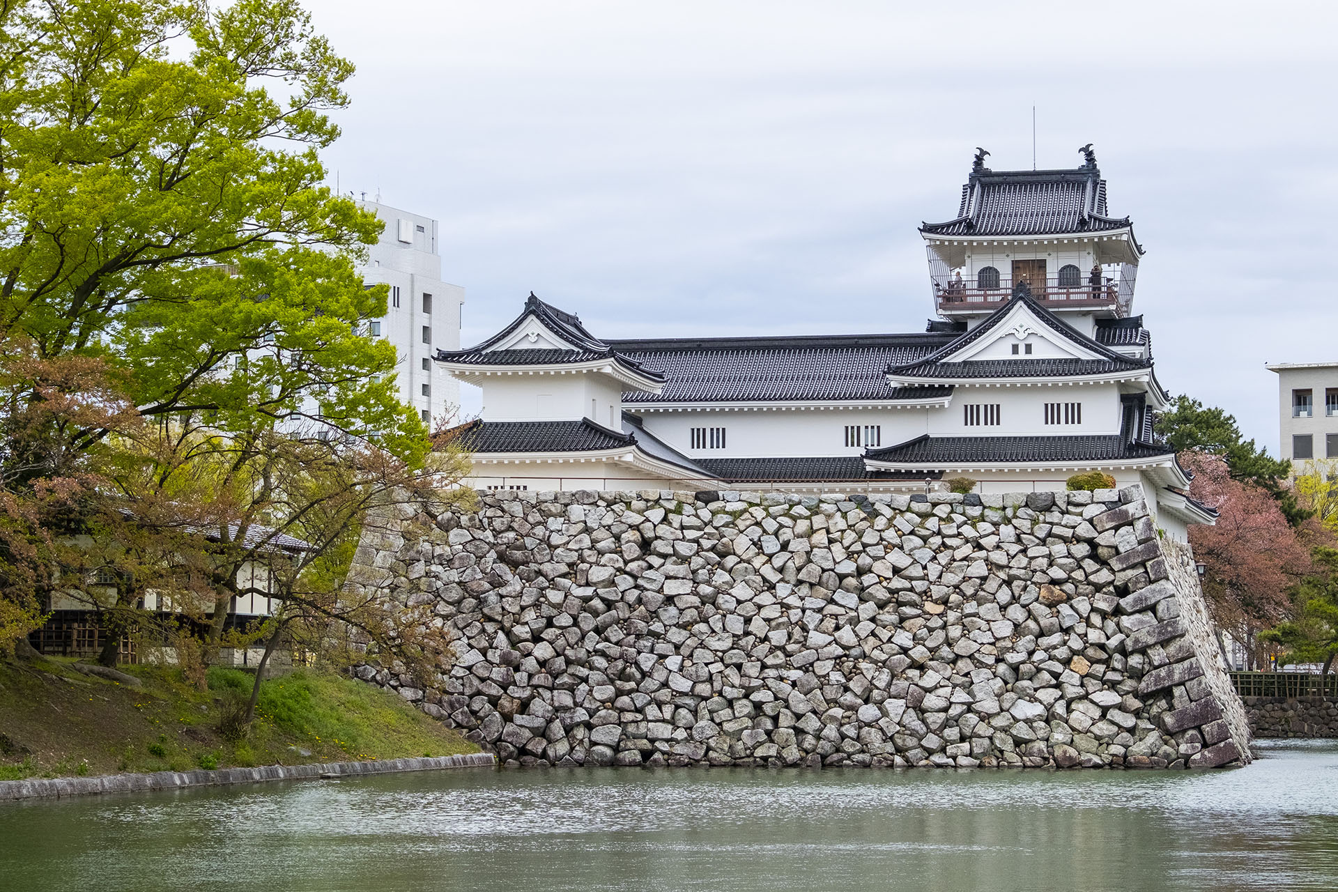 富山城址公園 (2023)